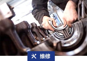 岛国av免费网址